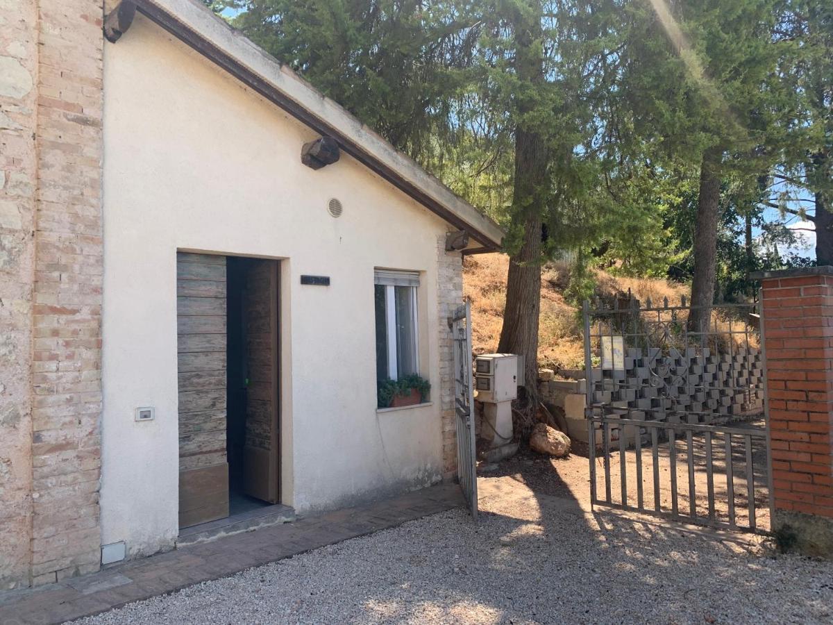 Setterhouseagrihotel Треви Екстериор снимка