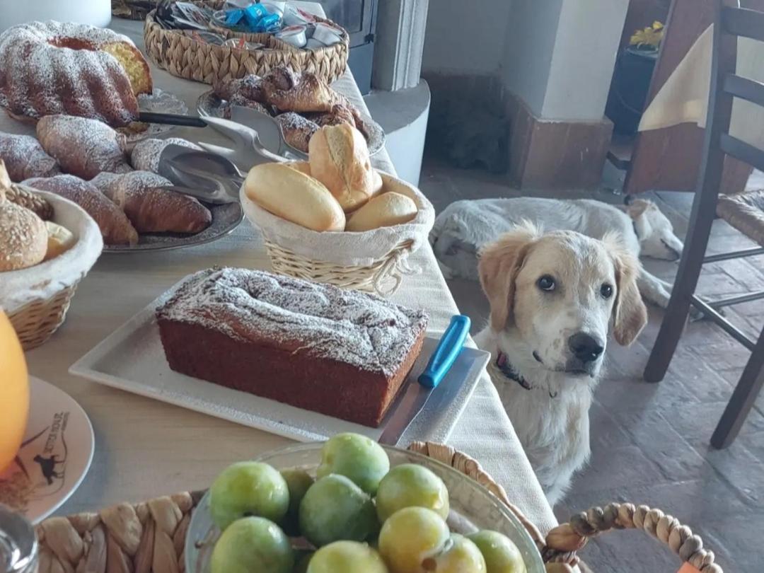 Setterhouseagrihotel Треви Екстериор снимка