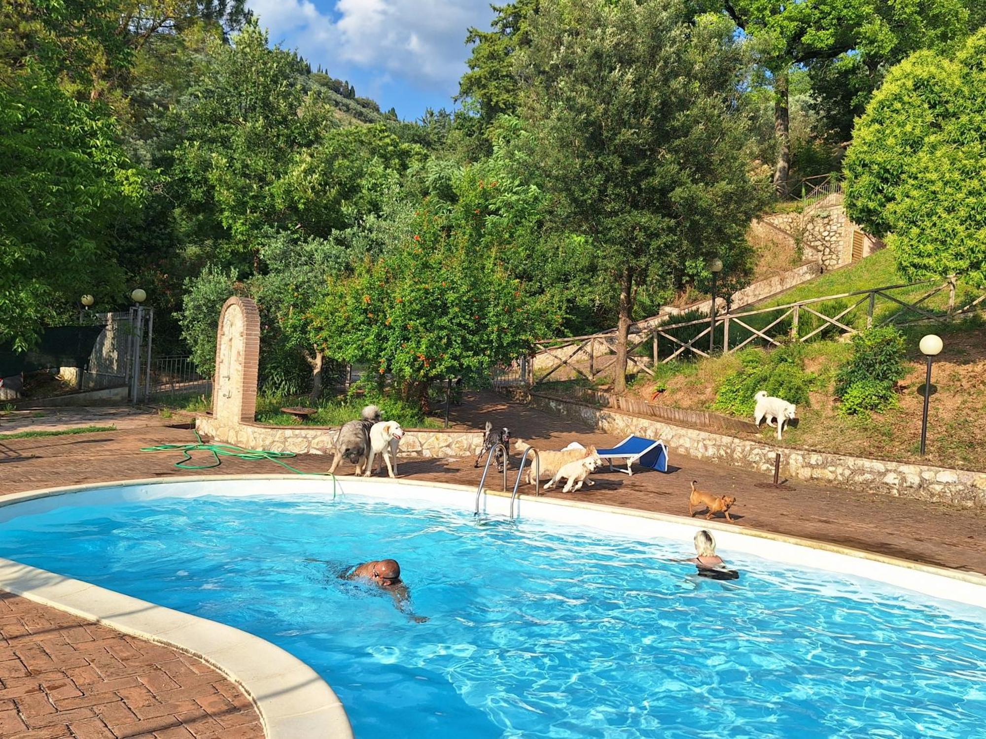 Setterhouseagrihotel Треви Екстериор снимка